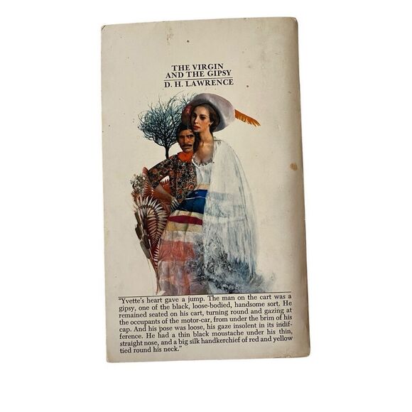 The Virgin And The Gipsy Paperback Book DH Lawrence Novel - Picture 2 of 12